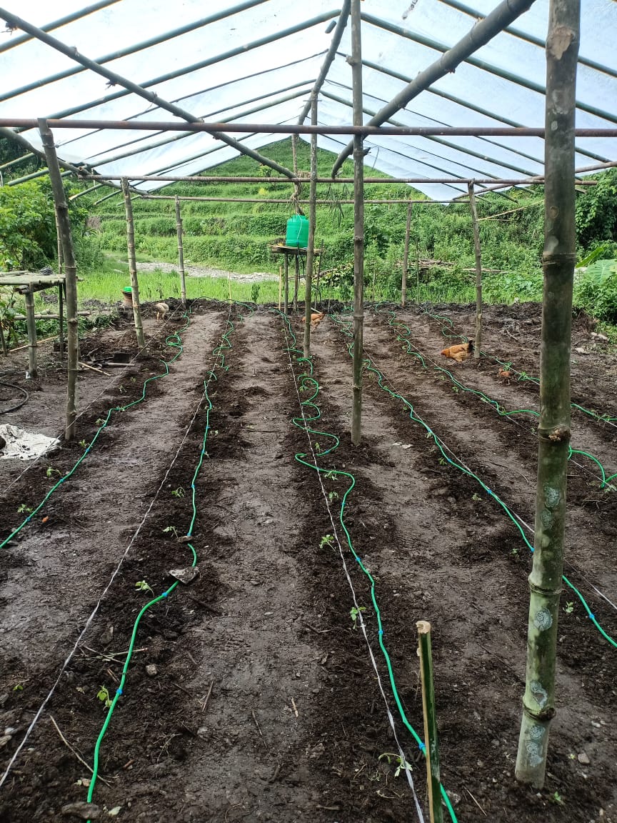 Completed greenhouse interior with irrigation lines and mountain backdrop